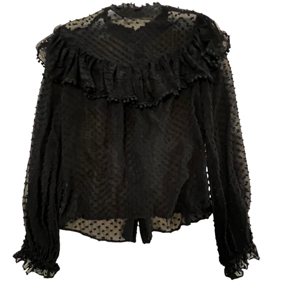 LoveShackFancy Erica SWISS DOT HIGH NECK LACE BLOUSE Ruffled Button Front Sheer - Picture 7 of 16